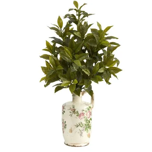 24" Coffee Leaf Artificial Plant in Floral Pitcher (Real Touch)