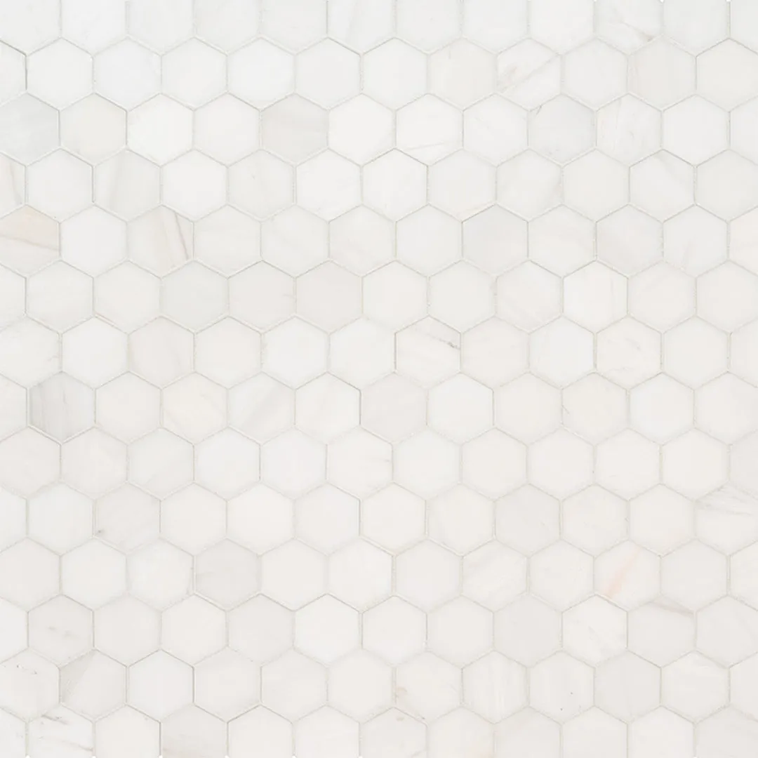 Bianco Dolomite 2" Hexagon Mosaic - Stone Tile