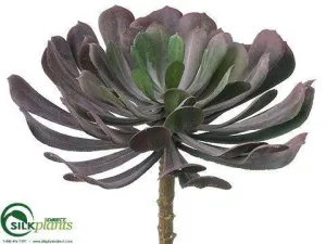 Silk Plants Direct Aeonium - Burgundy Gray - Pack of 12